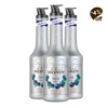 Le Fruit MONIN Mirtilo