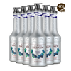 Le Fruit MONIN Mirtilo