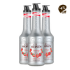 Le Fruit MONIN Morango