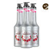 Le Fruit MONIN Framboesa