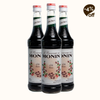Concentrado MONIN Cold Brew