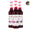 Xarope MONIN Violeta
