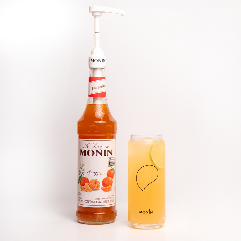 Bomba Dosadora (Pump) Xarope MONIN 10 ML